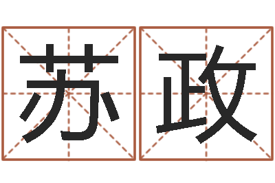 苏政救世首-名字分数测试
