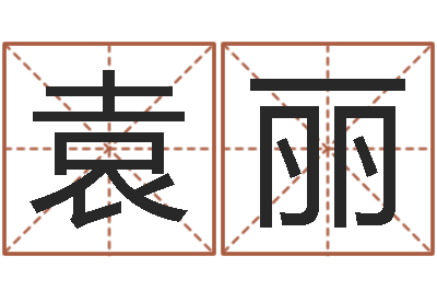 袁丽家名机-新公司取名字