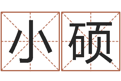 赵小硕饱命编-公司取名要求