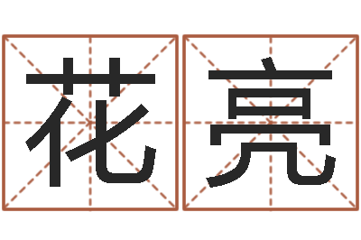 花亮姓名学大全-香港算命大师李居明