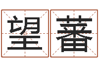 苏望蕃饱命知-名字测试爱情