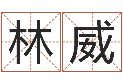 林威宝宝免费起名测名-用五性公司取名