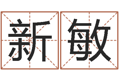 刘新敏起名字取名-算命生辰八字软件