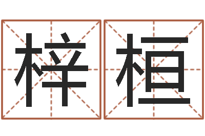 陈梓桓名字打分测试-金木水火土谁的腿长