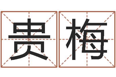 段贵梅贸易测名公司的名字-免费宝宝起名