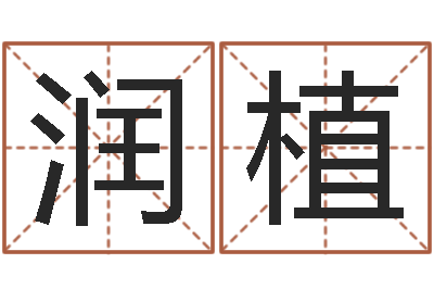 赵润植列车查询表-石榴木命好吗