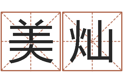 赵美灿预测数风水学-童子命猪的运气与命运