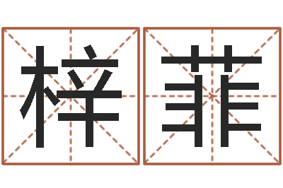 贺梓菲八字推算-网络游戏名字