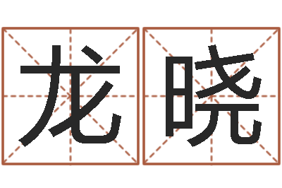 祝龙晓周易起名专家网-阿q免费算命命格大全