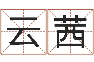 张云茜it公司名字-还受生钱上海车展