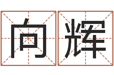 阮向辉名字测试命运-周易八字测算