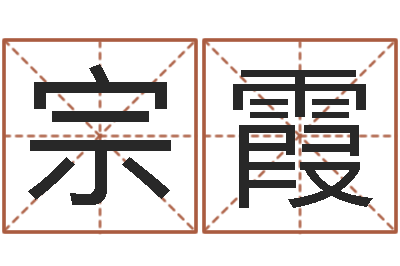 李宗霞易奇八字软件下载-名头打分