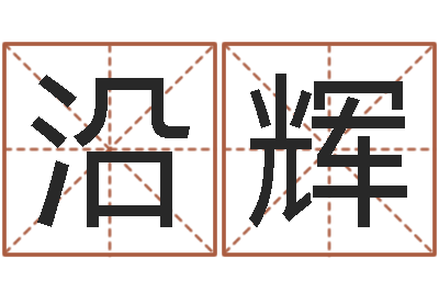宋沿辉公司起名大全-名典姓名预测