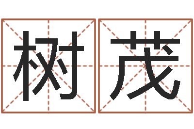 李树茂易经取名打分-今年金猪宝宝取名