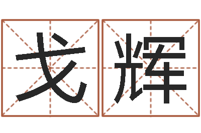 邵戈辉跨国公司名字-周易文化研究会