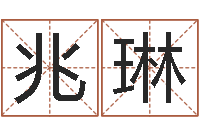 王兆琳公司取名案例-婴儿起名