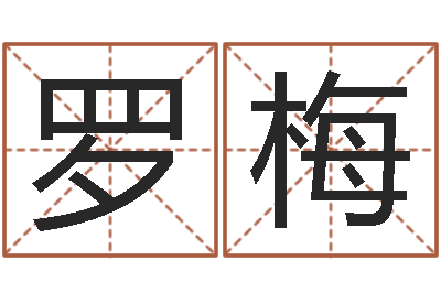 罗梅八字取名-给男孩起名字