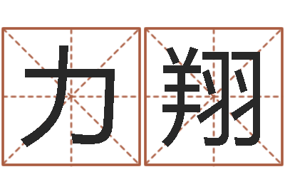 赵力翔家庭风水学-测名系统