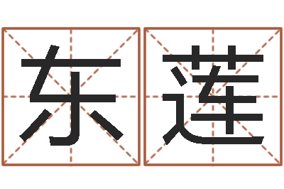 王东莲五行八字称骨算命-为奥宝宝取名