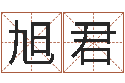 王旭君工程公司起名-周易测还受生钱运势