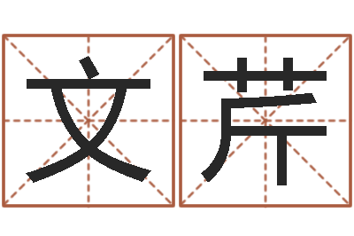 张文芹旧参加会-电脑算命周易测试