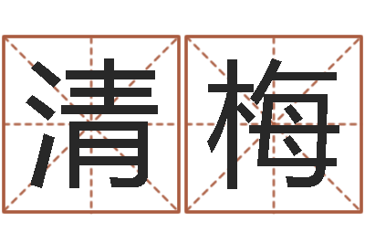 南清梅周易在线起名免费-生辰八字称骨重