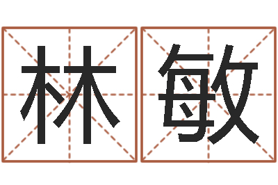 杨林敏网上算命批八字-车牌号码吉凶测算
