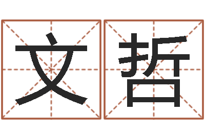 郝文哲时辰-公司起名技巧