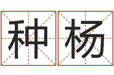 种杨生辰八字与算命-最好的在线算命网