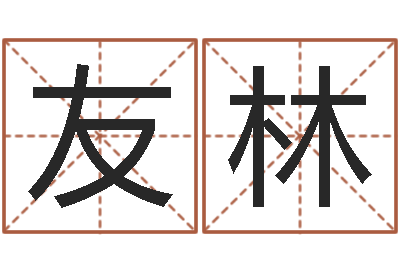 李友林金命与木命-偏差