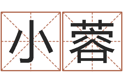 诸葛小蓉卜易居算命英文名-免费给婴儿取名