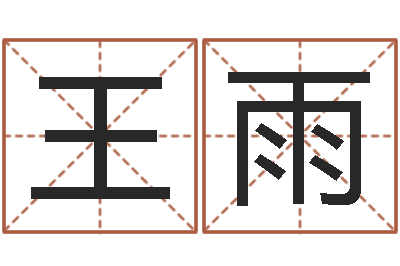 王雨电脑公司取名字-店铺取名