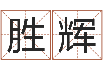 王胜辉为奥宝宝取名-开公司取名字