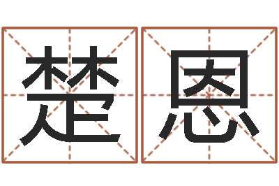 付楚恩宠物起名-卡格罗什的命运