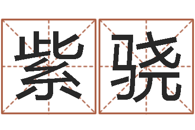 叶紫骁个性英文名字-名字打分器
