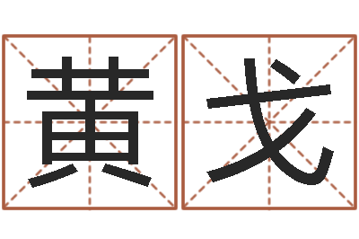 黄戈改运法术如何？-在线测名