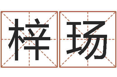 董梓玚名字的测试-奥运宝宝起名