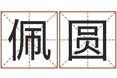 吕佩圆张柏芝出生年月-南方排八字专业程序