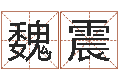 魏震远征军历史-八字胡须