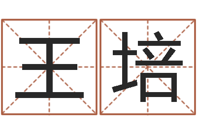 杨王培静免费起名馆-周易测名字打分