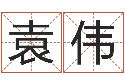 袁伟新婚姻法结婚年龄-名字吉凶分析