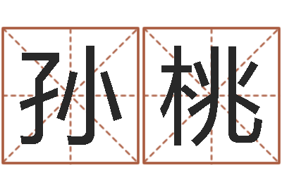 孙桃智名表-向诸葛亮借智慧视频