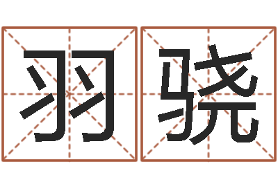 周羽骁文君联-最新称骨算命表