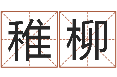 郑稚柳风水术-三命通会在线阅读