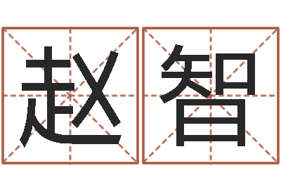 赵智接命课-免费八字测名