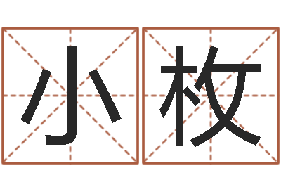 张小枚怎样给女孩取名字-童子命年属猪命运