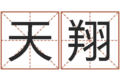 宋天翔开运花-起名笔划字库