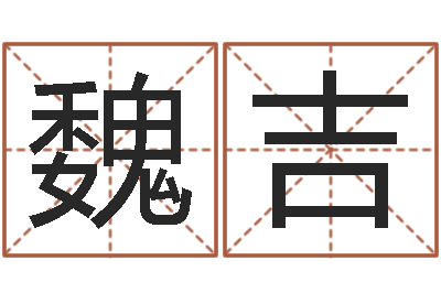 吴魏吉红在线算命软件-店铺取名