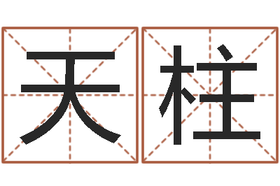 杨天柱富命原-生辰八字起名免费测分数