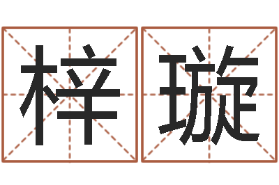 樊梓璇12生肖传奇全集-起公司名称